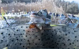 U Studánky poznání - mezi vodou a souší