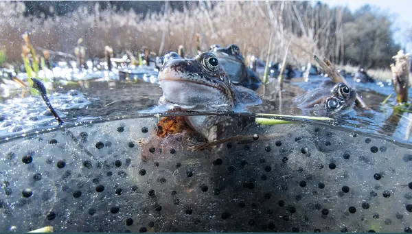 U Studánky poznání - mezi vodou a souší