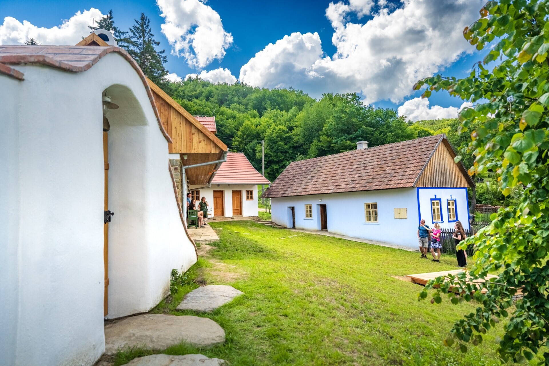 Příběh ovocných stromů z Kopanic