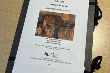 Záchrana Kokořovského dvora, Žlutice