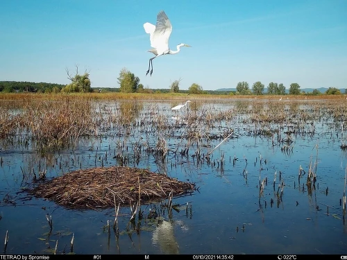Ať ptáci zpívají i za sto let