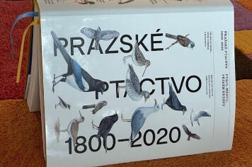 Pražské ptactvo 1800 - 2020
