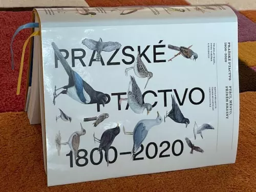 Pražské ptactvo 1800 - 2020